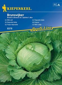 Kiepenkerl Kapusta biała Brunswijker Brassica oleracea var. capitata f. alba 1