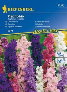 Kiepenkerl Ostróżka letnia Pracht - Mix Delphinium consolida 1