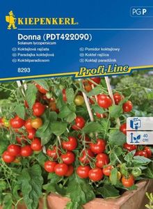 Kiepenkerl Pomidor koktajlowy Dona F1 Solanum lycopersicum 1