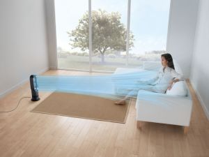 Termowentylator Dyson Wentylator z funkcją grzania (AM09) 8