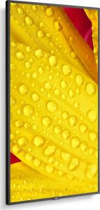 Monitor NEC MultiSync ME651 (60005062) 3