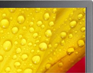 Monitor NEC MultiSync ME651 (60005062) 4