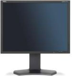 Monitor NEC MultiSync P212 (60003862) 1