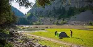 Namiot turystyczny Coleman Pingora Blackout 3 (2000035203) 7