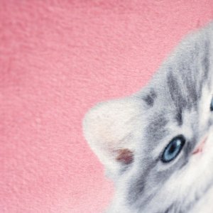 Starpak PLECAK STK-14 KITTY PINK PB 1/12 10