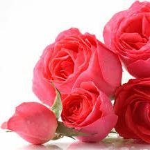 Naturologia Kula do kąpieli Różana 3