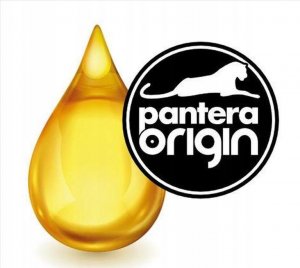 Matex MATERACYK ORTOPEDYCZNY ECO PANTERA 120X6 0X10 8