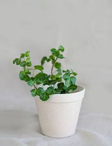 Tajemniczy ogród Ekologiczna donica bambusowa 3