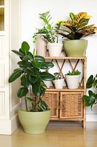 Tajemniczy ogród Ekologiczna donica bambusowa 4