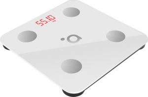 Waga łazienkowa Acme SC103 Biały 2