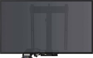 Sabaj Stojak podłogowy K-1 Eco C IR 48'' 2