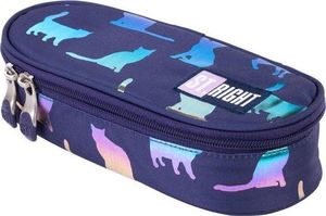 Piórnik MAJEWSKI Piórnik saszetka usztywniona z wewnętrzną klapką PC-01 Holo Kotki 2