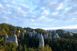 Filtr B&W International B+W BASIC CPL MRC 67mm 2