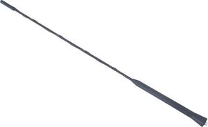 Carmotion Maszt antenowy 41cm, gwint 6mm 1