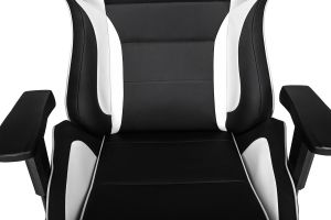 Fotel AKRacing ProX Czarno-biały (AK-PROX-WT) 21