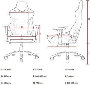 Fotel AKRacing ProX Czarno-biały (AK-PROX-WT) 25
