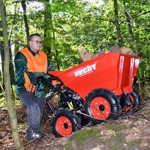 Hecht 2650 WOZIDŁO TRANSPORTER BUDOWLANY OGRODOWY TACZKA WYWROTKA MOC 6,5 KM 11