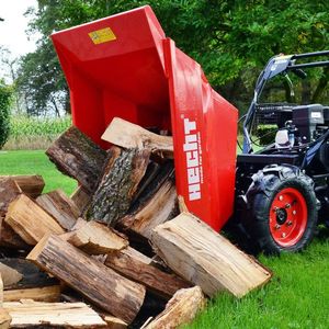 Hecht 2650 WOZIDŁO TRANSPORTER BUDOWLANY OGRODOWY TACZKA WYWROTKA MOC 6,5 KM 12