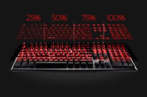 Klawiatura Ravcore Edge (RAVKLA45248) Kailh Blue 2