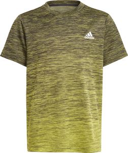 Adidas adidas JR Gradient t-shirt 461 : Rozmiar - 152 cm 1