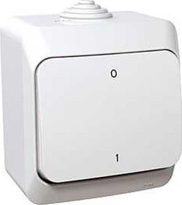 Schneider Electric Cedar Plus Łącznik dwubiegunowy natynkowy 16AX IP44 biały WDE000520 1