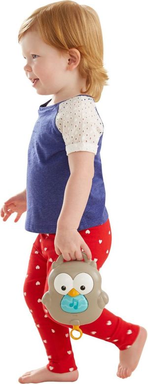 Mattel Karuzela Leśni Przyjaciele CDM84 9