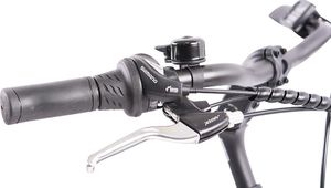 Rower elektryczny Schiano Elektryczny Rower Miejski 28 Wspomaganie 250W 10