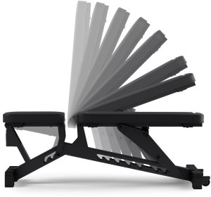 Zipro Pumpiron + Gumy Mini Band 15