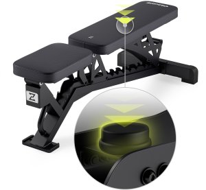 Zipro Nocardio + Gumy Mini Band 11