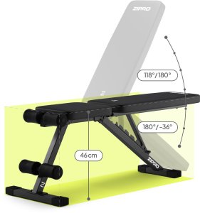 Zipro Stride + Gym Straps 12