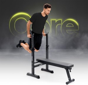 Zipro Core + Gym Straps 19