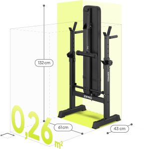 Zipro Core + Gym Straps 5