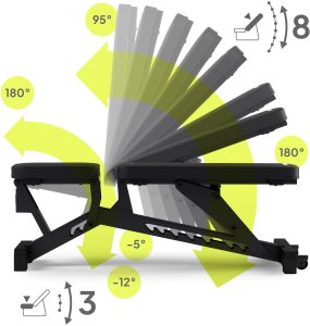 Zipro Pumpiron + Gym Straps 6