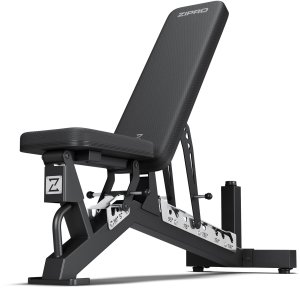 Zipro Powerhouse + Gym Straps 11