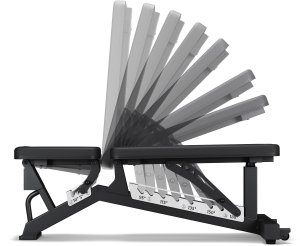 Zipro Powerhouse + Gym Straps 2