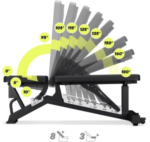 Zipro Powerhouse + Gym Straps 5