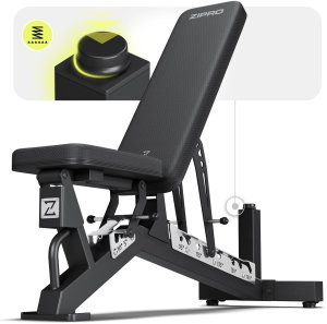 Zipro Powerhouse + Gym Straps 7