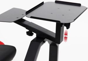 RaceRoom uchwyt do konsoli (75105105) 2