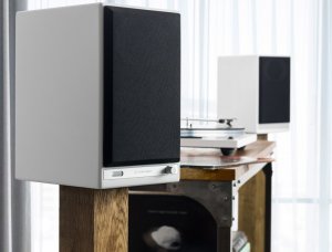 Kolumna AudioEngine HD6 BT GONIKI AKTYWNE Bluetooth APTX HD białe 5
