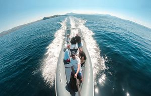 Telesin Uchwyt do kamer sportowych (IS-MNP-300) 3