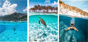 Telesin Obudowa podwodna Telesin Dome Port dla GoPro Hero 9 (GP-DMP-T09) 7