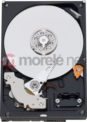 Dysk WD 500 GB 3.5" SATA II (WD5000AAKS) 3