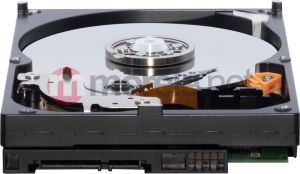 Dysk WD 500 GB 3.5" SATA II (WD5000AAKS) 4