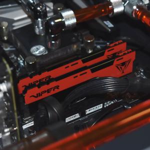 Pamięć Patriot Viper Elite II, DDR4, 8 GB, 2666MHz, CL16 (PVE248G266C6) 5