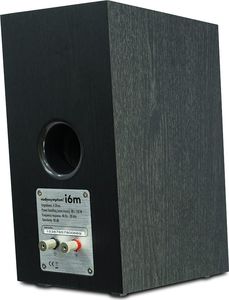 Kolumna Audiosymptom i6m 80 W 4