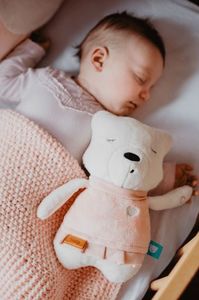 Szumisie Szumisie, Zestaw z podusią Szumiący miś z czujnikiem snu Suzy 5