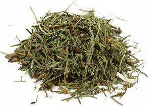 MedFuture Skrzyp polny ziele cięte - 50 g 2