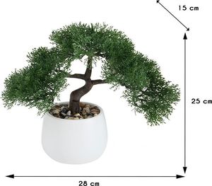 Boltze Drzewko bonsai w doniczce Lian wzór 1 2
