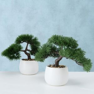 Boltze Drzewko bonsai w doniczce Lian wzór 1 3