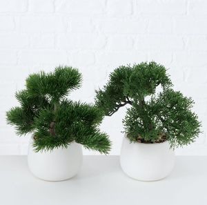 Boltze Drzewko bonsai w doniczce Lian wzór 1 4